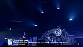 「UNISON SQUARE GARDEN、ツアー【うるわしの前の晩】より「シグナルABC」ライブ映像を公開」1枚目/3