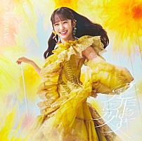 是非に及ばず 乃木坂46 非売品ポスター 乃木坂46、42ndシングル『是非に及ばず』ジャケット公開 コンセプトは