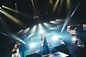 「＜ライブレポート＞yutori「また何かあったら帰っておいで」　4人の気遣いが輪を広げていく全国ツアーファイナル」1枚目/14