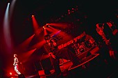 「」3枚目/14