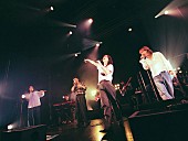 「」6枚目/17