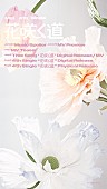「ME:I シングル『花咲く道』Music Spoiler」2枚目/5