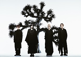 「Plastic Tree、ビクター時代に発表した全MVを公開」