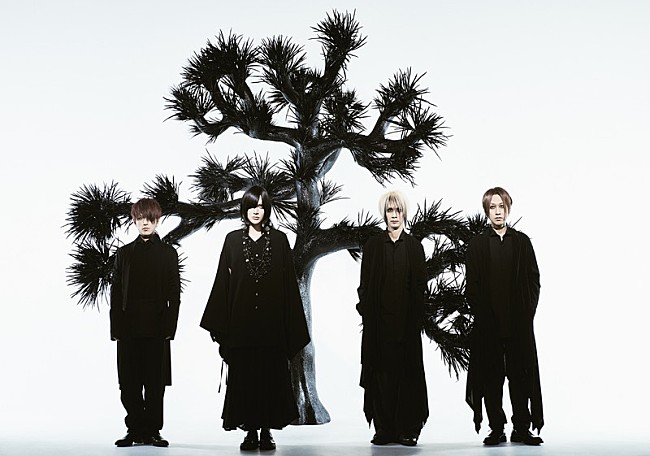 「Plastic Tree、ビクター時代に発表した全MVを公開」1枚目/1