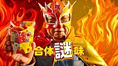 「」12枚目/17