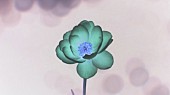 「」2枚目/2