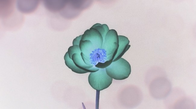 「」2枚目/2