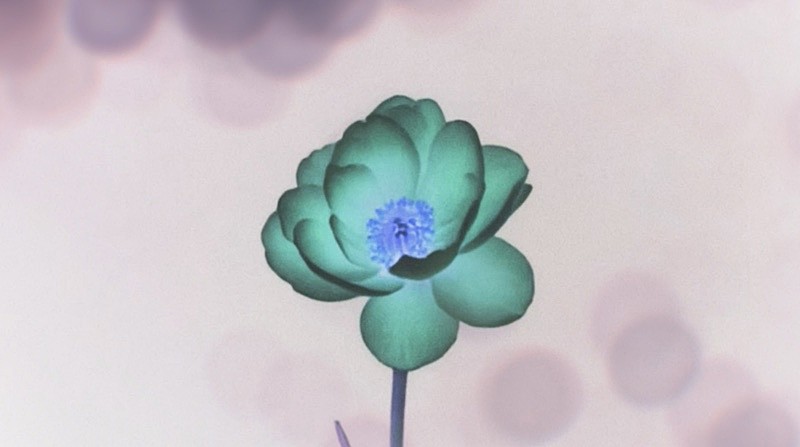 「」2枚目/2