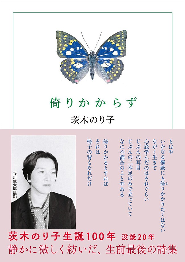 「」6枚目/6