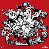 「JO1 EP『ANIMAL』Regular C」3枚目/5