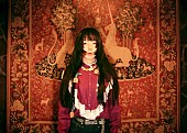「aiko、ツアーファイナルで新たなアリーナツアー開催をサプライズ発表」1枚目/2