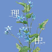 「月追う彼方、爽やかさと儚さが交わる新曲「理由」配信リリース＆MV公開」1枚目/3
