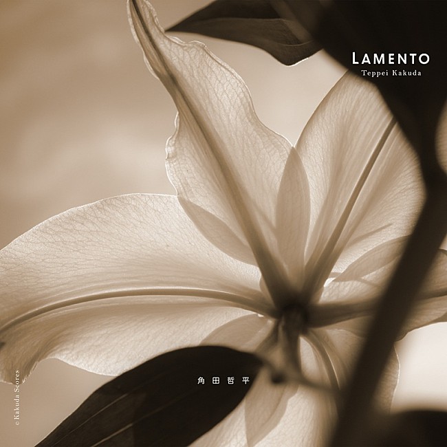 「」2枚目/2