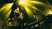 「Novel Core、JUBEEがサプライズ出演した「ビリビリ -Remix-」ライブ映像を公開」1枚目/4