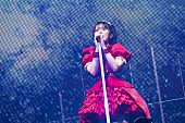 「」24枚目/40