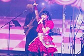 「」31枚目/40