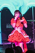「」4枚目/40