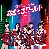 「(C)API」4枚目/4