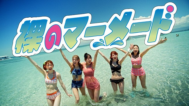 「豆柴の大群、新曲「裸のマーメード」リリース＆MV公開」1枚目/5