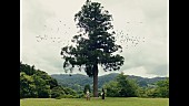 「リーガルリリー、ピュアな衝動と好奇心を「コニファー」MVで映像化」1枚目/3