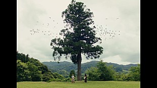 「リーガルリリー、ピュアな衝動と好奇心を「コニファー」MVで映像化」
