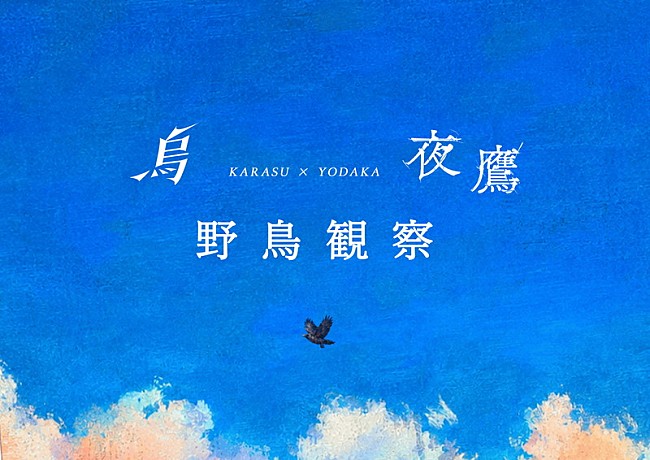 「米津玄師、鳥が空を舞う特設サイト「烏 × 夜鷹　野鳥観察」公開」1枚目/5