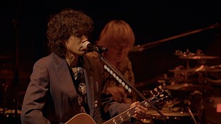 「斉藤和義、ニューAL発売を記念し過去ツアーのライブ映像3曲を3週連続でYouTubeプレミア公開決定」
