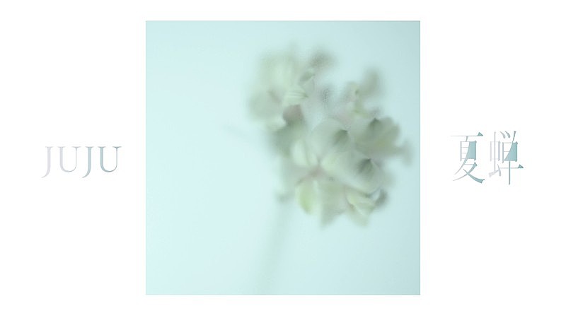 「JUJU、ドラマ『ファーストクライ 母子救命救急班』主題歌「夏蝉」Official Audio公開」1枚目/3