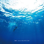 「土岐麻子、夏の海をイメージしたラブソング「Waves」配信リリース」1枚目/2