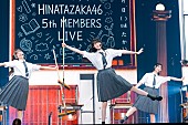 「」7枚目/29