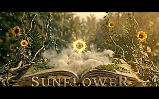 「FANTASTICS、アリーナツアーテーマ曲「SUNFLOWER」で表現するコンセプト映像を公開」