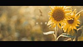 「」2枚目/6