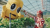 「水曜日のカンパネラ「いちご Got it」MV、詩羽＆ピーナッツくんが“本物のいちご狩りを探す旅”へ」1枚目/7