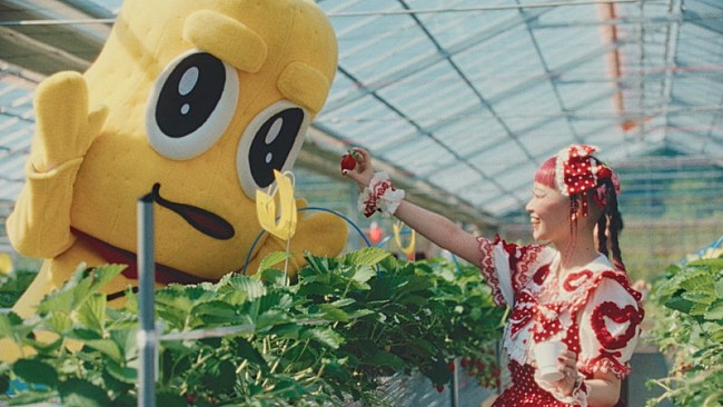 「水曜日のカンパネラ「いちご Got it」MV、詩羽＆ピーナッツくんが“本物のいちご狩りを探す旅”へ」1枚目/7