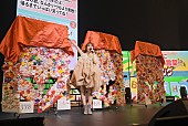 「」6枚目/12