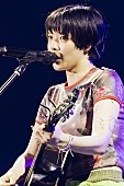 「Photo by 横山マサト」10枚目/20