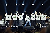 「Photo by 横山マサト」19枚目/20