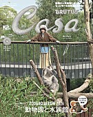 「あいみょん『Casa BRUTUS』表紙、コアラに会うためオーストラリアへ」1枚目/2