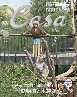 「あいみょん『Casa BRUTUS』表紙、コアラに会うためオーストラリアへ」