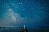 「音田雅則、アニメ『黄泉のツガイ』OPテーマ「back shot」CDリリース」1枚目/5