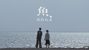 「あたらよ、曖昧な関係を歌ったノスタルジックな“夏曲”「魚」のMV公開」