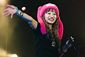 「」4枚目/17