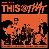 「【米ビルボード・アルバム・チャート】Stray Kids『THIS &amp;amp; THAT』初登場1位、カロルGらTOP10デビュー」1枚目/1