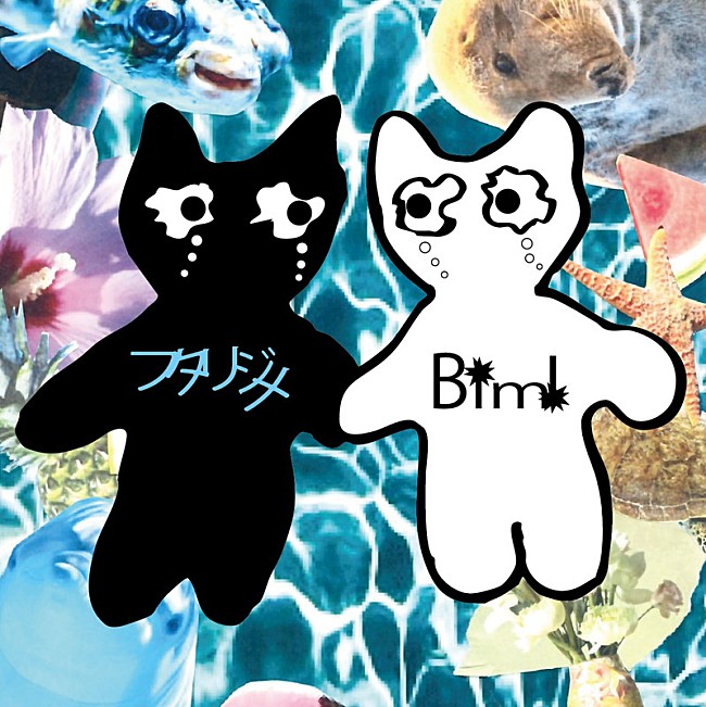 「Bimi、サマーチューン第2弾はメロウなラブソング「フタリジメ」」1枚目/1