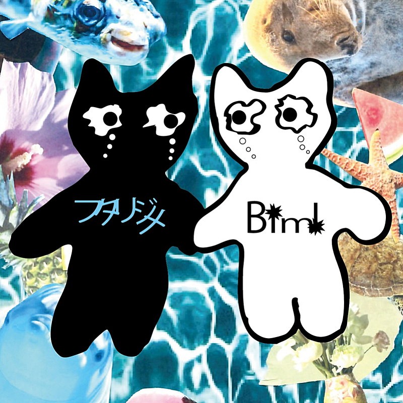 「Bimi、サマーチューン第2弾はメロウなラブソング「フタリジメ」」1枚目/1