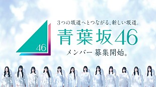 「新たな坂道グループ・青葉坂46、メンバーオーディション開催へ」