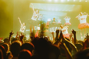 「HALCALI、サマソニで完全復活　今年のSpotify Stage最高動員を記録」