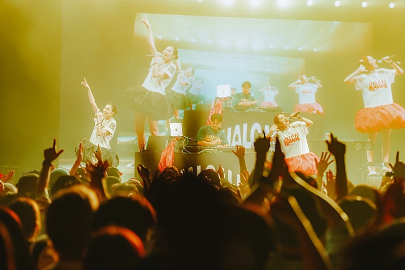 「HALCALI、サマソニで完全復活　今年のSpotify Stage最高動員を記録」1枚目/5