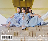 「日向坂46 シングル『イチャイチャ虫』初回仕様限定盤TYPE-D バックカバー」4枚目/6