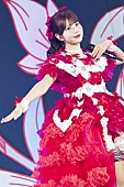 「白石まゆみ」19枚目/21